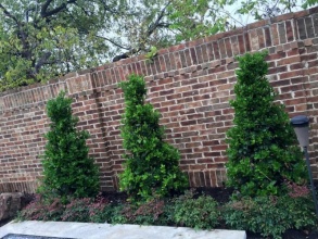 Кирпичный забор сплошной 12 метров фото в Горбатове